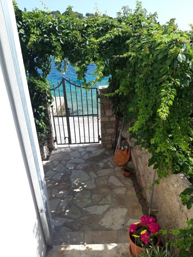 Apartment Lilo Maslinica